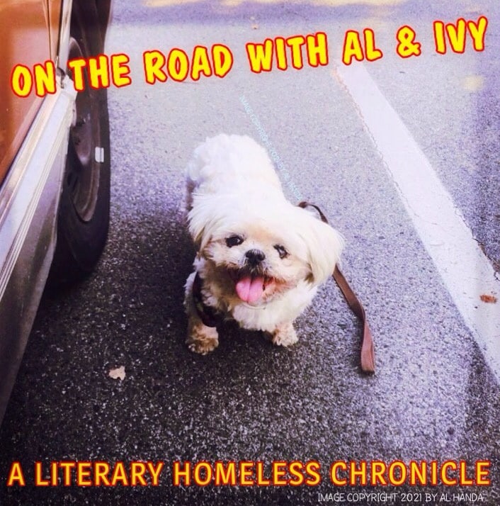 On The Road With Al and Ivy: A Homeless Literary Journal - July 2021: Eve's punishment, Forbidden Gospel Of Murgatroyd, Oracles, Prophet Lady Eleanor Davies, Darwin, Cuckoo's Nest, Sherlock Holmes movies, Basil Rathbone, Last Of The Mohicans, and more! ontheroadwithalandivy.blogspot.com/2021/07/on-roa…