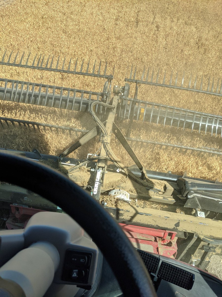 llittle33's tweet photo. My first time combining peas (too dry but I'm doing my best not to split everything) https://t.co/BPvVYjfulh