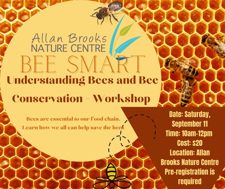 Allan Brooks Nature Centre tweet media