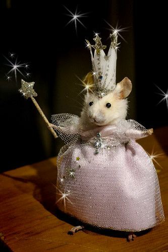 inmaarv's tweet photo. 🐀 PETUNIA
Libro: Cántame al oído

Más os vale opinar de ella bien 🔪 https://t.co/OTRT16J0Y9