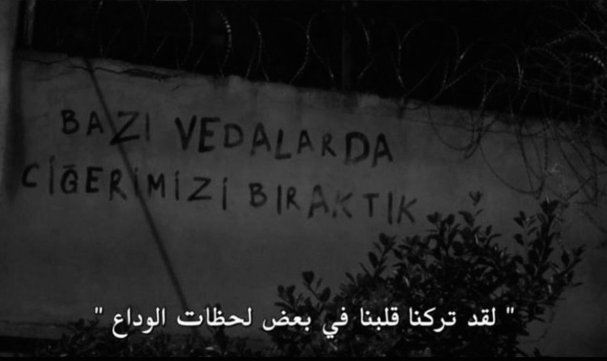 مجيد"بطل كاس العالم🇦🇷🏆 tweet media