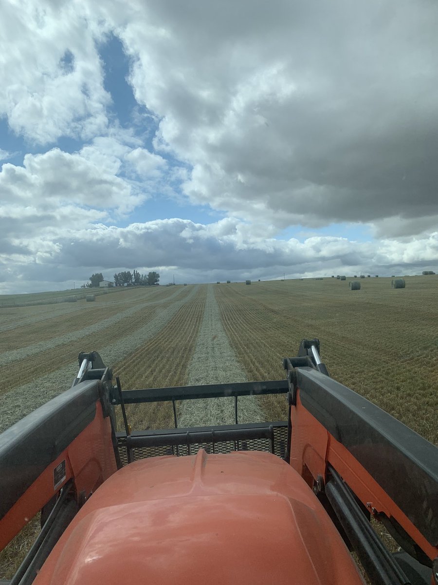 Just about finished baling up my greenfeed. Less than half of average. But, very grateful to even have something to bale. Quite a year