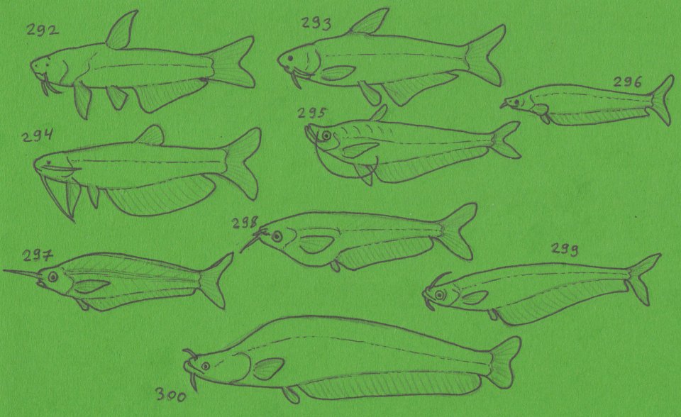 Cheetahtrout's tweet image. Despite my neighbors greatest efforts to suck me dry of all lifejoy, I finished 300 fishes for #fishtime and I am far from done. More catfish.
