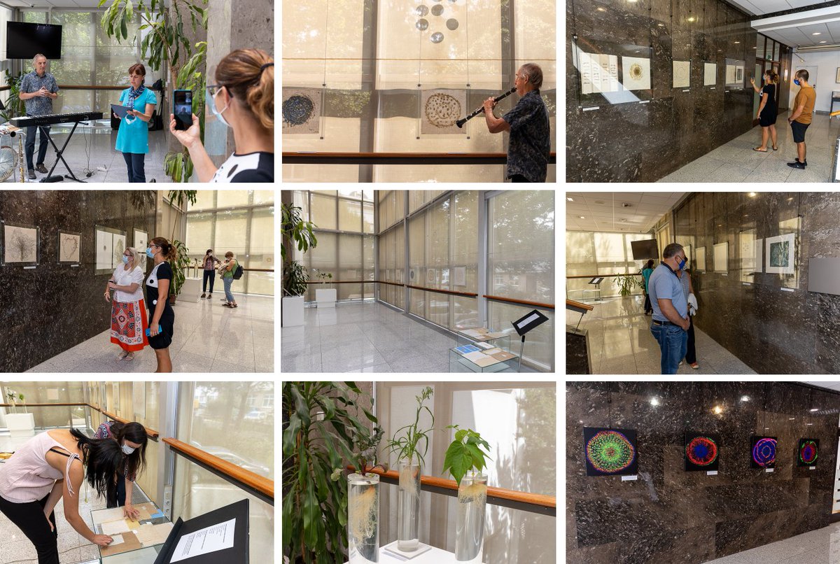 Some details of the exhibition "The Kingdom of Roots" by <a href="/JXDuncan/">Jean Duncan</a> at <a href="/JSI_SLO/">Jožef Stefan Institute</a> come to life with the help of <a href="/Plant_Ionome2/">Philip White</a> and colleagues at Dept of Biology, Biotechnical Faculty, University of Ljubljana and Dept of Low and Medium Energy Physics at Jožef Stefan Institute