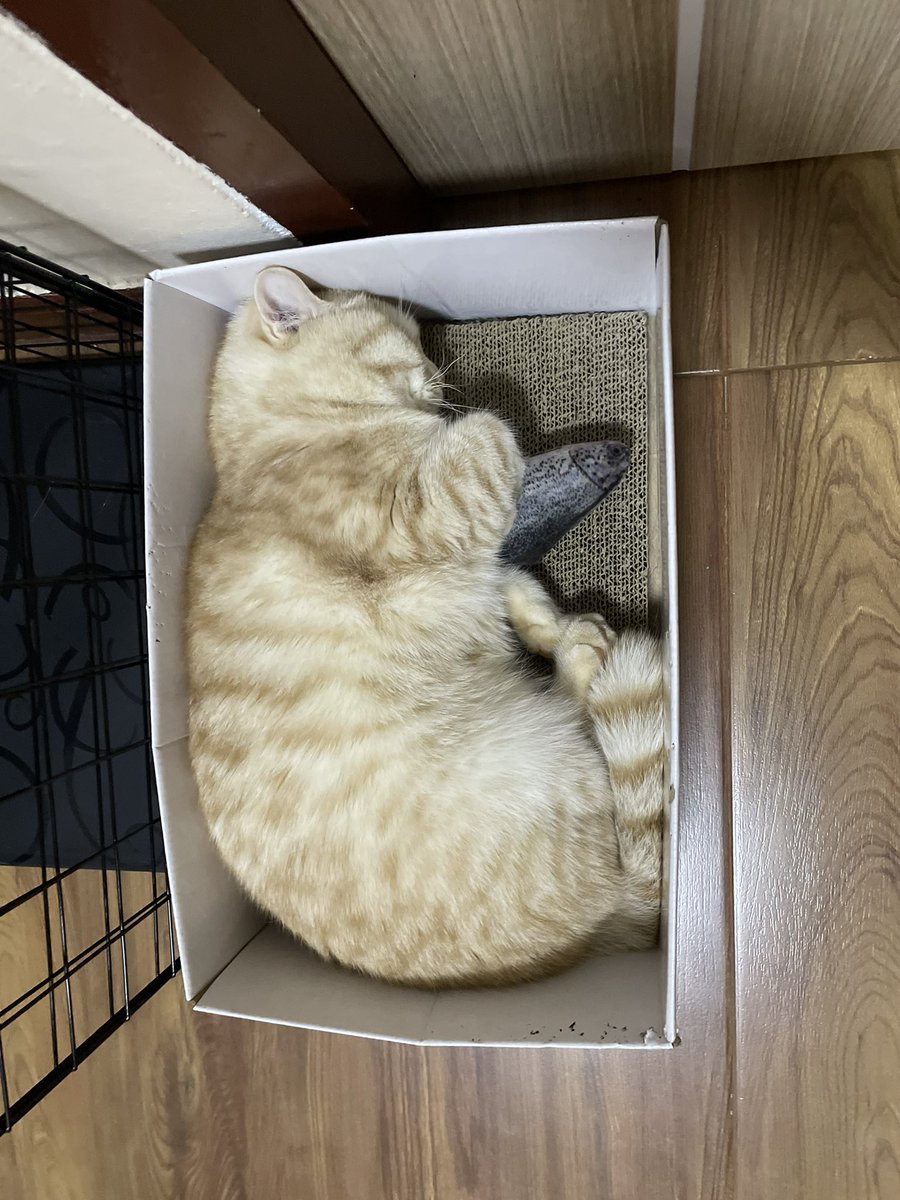 yayee2548's tweet image. #แม่แม่จะเอาแกไปปล่อยวัด