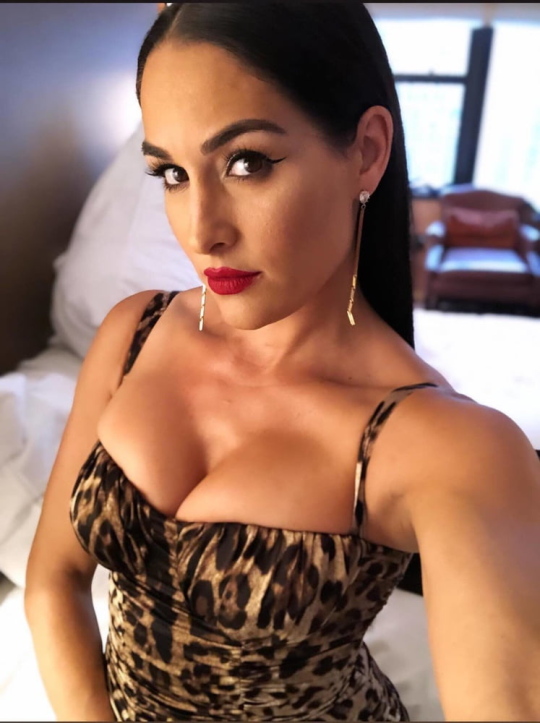 Nikki Bella
Mummy to Matteo
Former Divas champion
Part of the Bella twins with sister Brie
Roleplay not real 18+
#fearlessnikki https://t.co/j0Vdf7FgtA