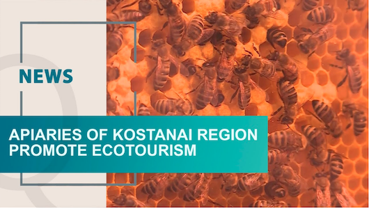 ElenasModelsTW's tweet image. Apiaries of Kostanai region promote ecotourism
Beekeepers of the Kostanai region promote ecotourism. The melliferous lands have appeared in the pristine forests of the region, open for tourists
Watch: youtu.be/WgzimluauMk

#Apiaries #ElenasModels