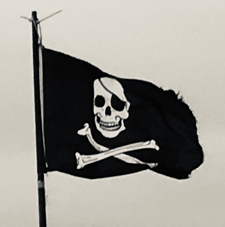 MaryHBWard's tweet photo. #piratelyfe #spaceshiplyfe #sailtheHighCs https://t.co/U0orA31t7z