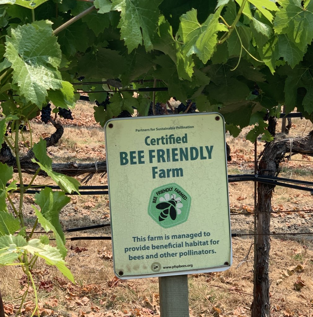 Lucha Vino tweet media