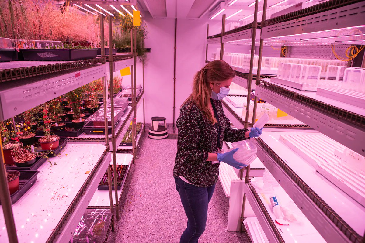 Postdoctoral fellow Nicole Gibbs collects samples at the lab.
