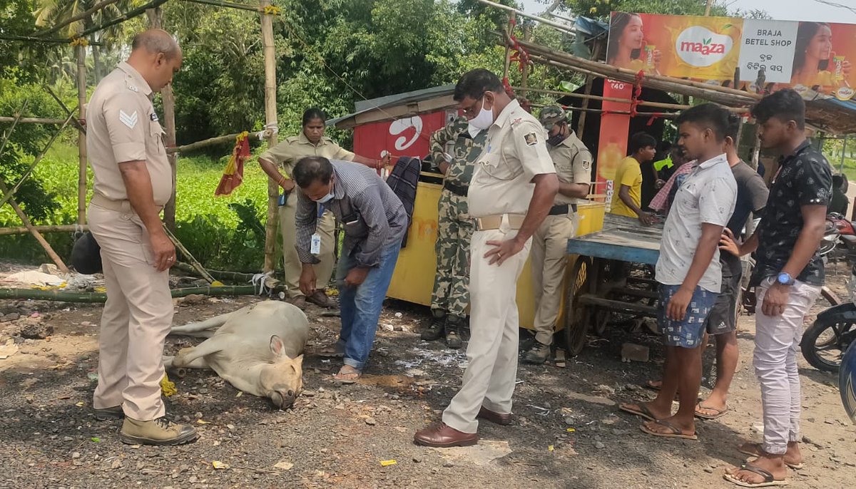 Sahi bhai,puri odisha tweet media
