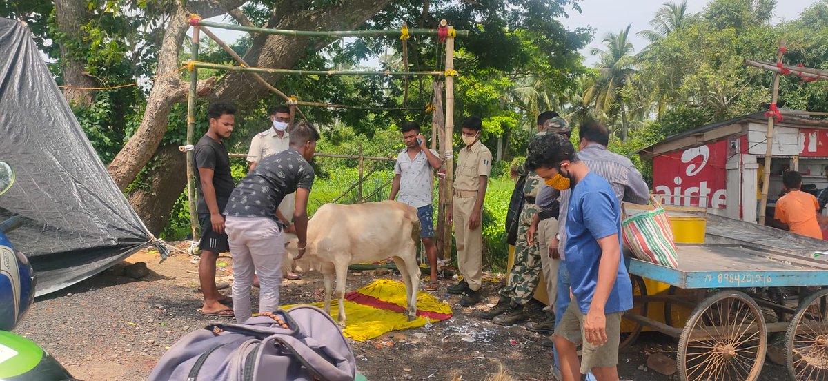 Sahibhai is thankfull to Puri Police for  their  timely  intervention and kind supporting hands whithout which  gravely injured Go-Mata would not  have limping back to normalcy again. <a href="/SPPuri1/">Puri Police</a> <a href="/odisha_police/">Odisha Police</a>