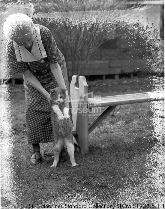 StCMuseum's tweet photo. Since it's #InternationaCatDay, we couldn't resist sharing this majestic cat photo in the Museum Collection! 🐱

What emoji best describes this cat's mood?! 
#WorldCatDay #EveryDayIsCatDay https://t.co/yTuRYaeQtS
