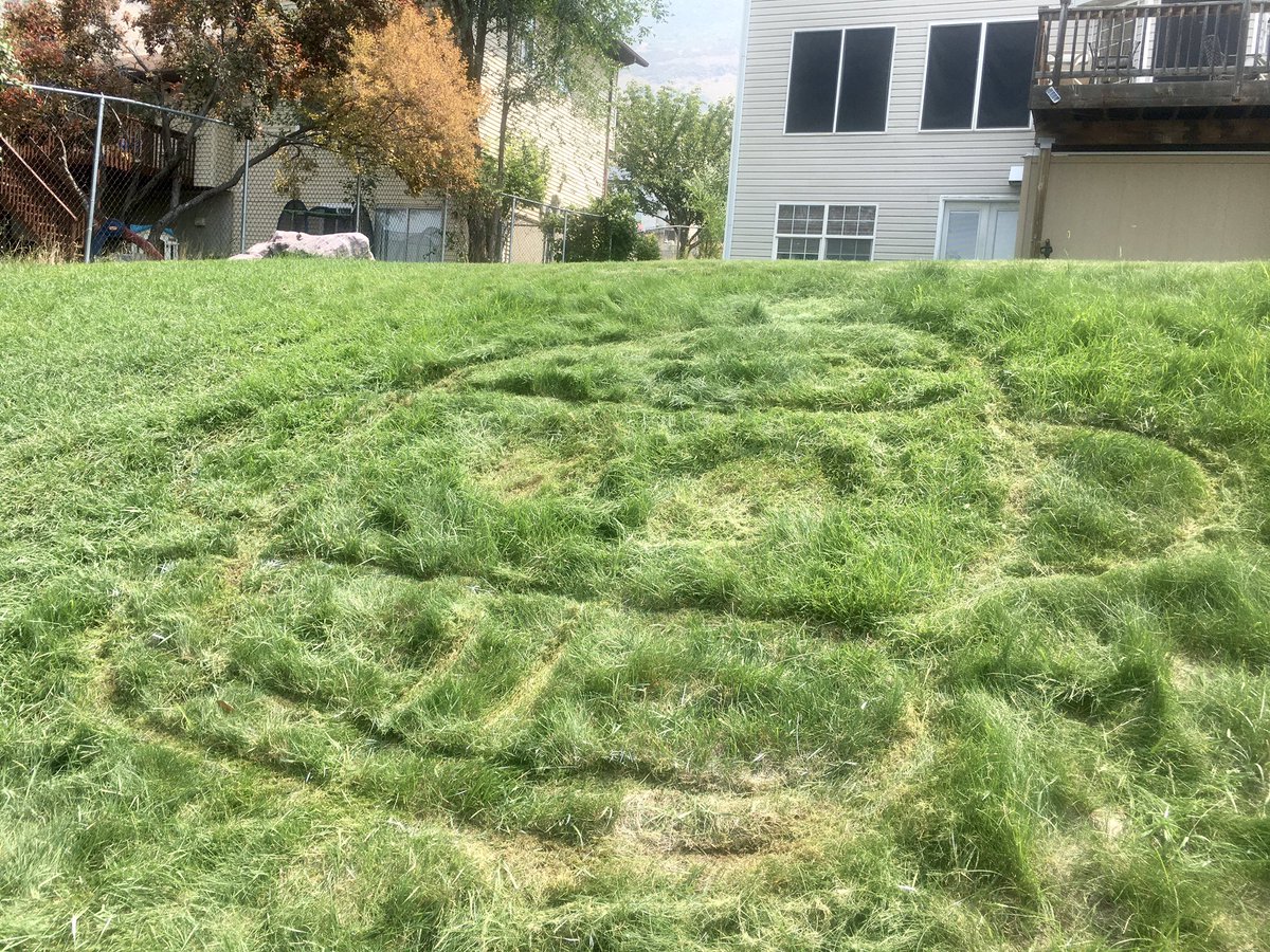 Labiticus's tweet image. #item146 I don’t wanna talk about this one #gish