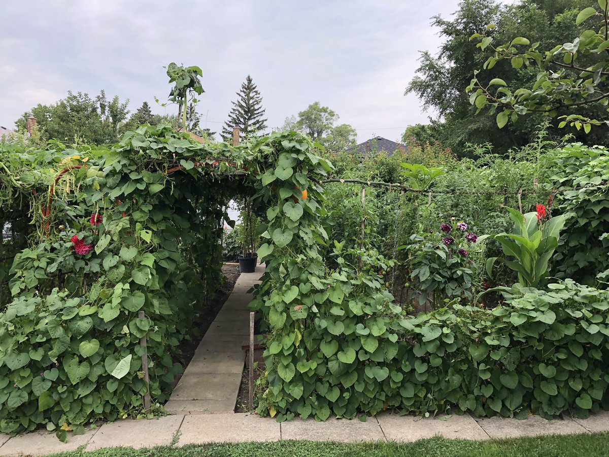 roccorossiTO's tweet photo. Great visit with my parents for a lunch largely made from what grows in their backyard garden! #BackyardToTable! https://t.co/8u7DzdYh5g
