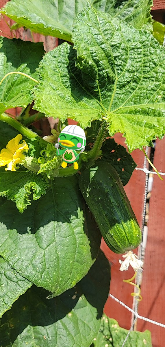 annagail's tweet photo. My very silly submission for #ACPCFoodie https://t.co/kgyV9sWiVq