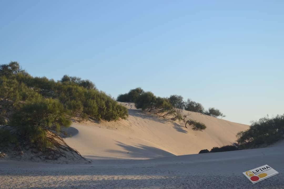 ALPINA_eotl's tweet photo. Ruta nocturna interpretada Punta del Boquerón (31/07/2021).
Puesta de sol, naturaleza, historia, belleza, aire y buena gente.
Infórmate en el 607 781 916.
@TurismoSanfer @TurismoElPuerto @TurismoJerez @TurismoPtoReal @CadizTurismo #puntadelboqueron #puntadelboqueron #ociocadiz https://t.co/Bv7cYNDT8v