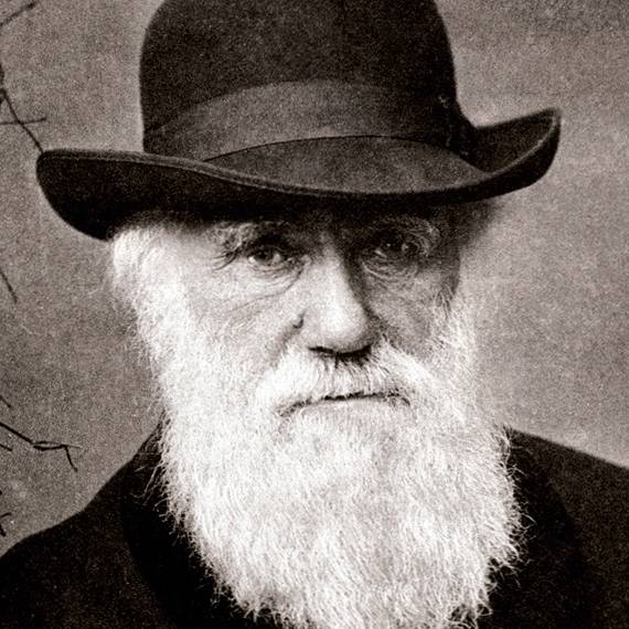 fuedicho's tweet image. “Las especies que sobreviven no son las más fuertes, ni las más rápidas, ni  las más inteligentes; sino aquellas que se adaptan mejor al cambio” 
Charles Darwin
#Fuedicho