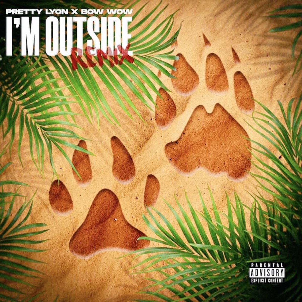 IAMPrettyLyon's tweet photo. New Music Alert 🚨 “I’m Outside” Remix Pretty Lyon feat: Bow Wow Coming in a Few Min RT RT 🔥🔥 https://t.co/sig7nLWJty