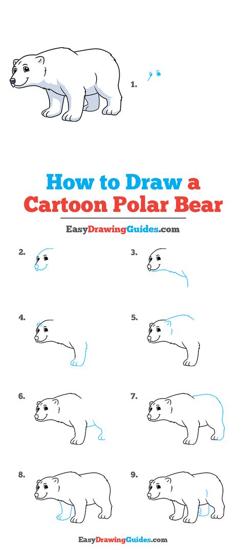 How to Draw a Polar Bear: Easy Step-By-Step Tutorial | LoveToKnow