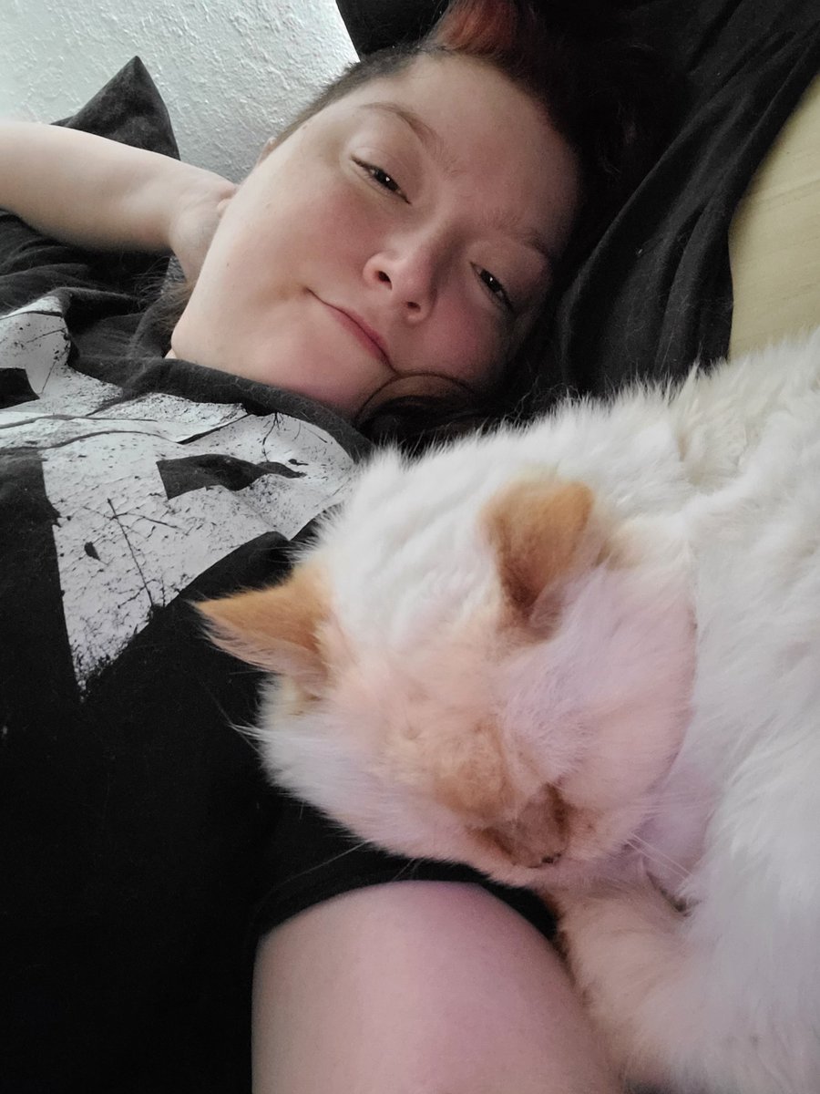 lilwolfstreams's tweet photo. Love chilling with my fur niece ^-^
#cat #himalayan #she19 #oldladybaby https://t.co/GCihpelJyr