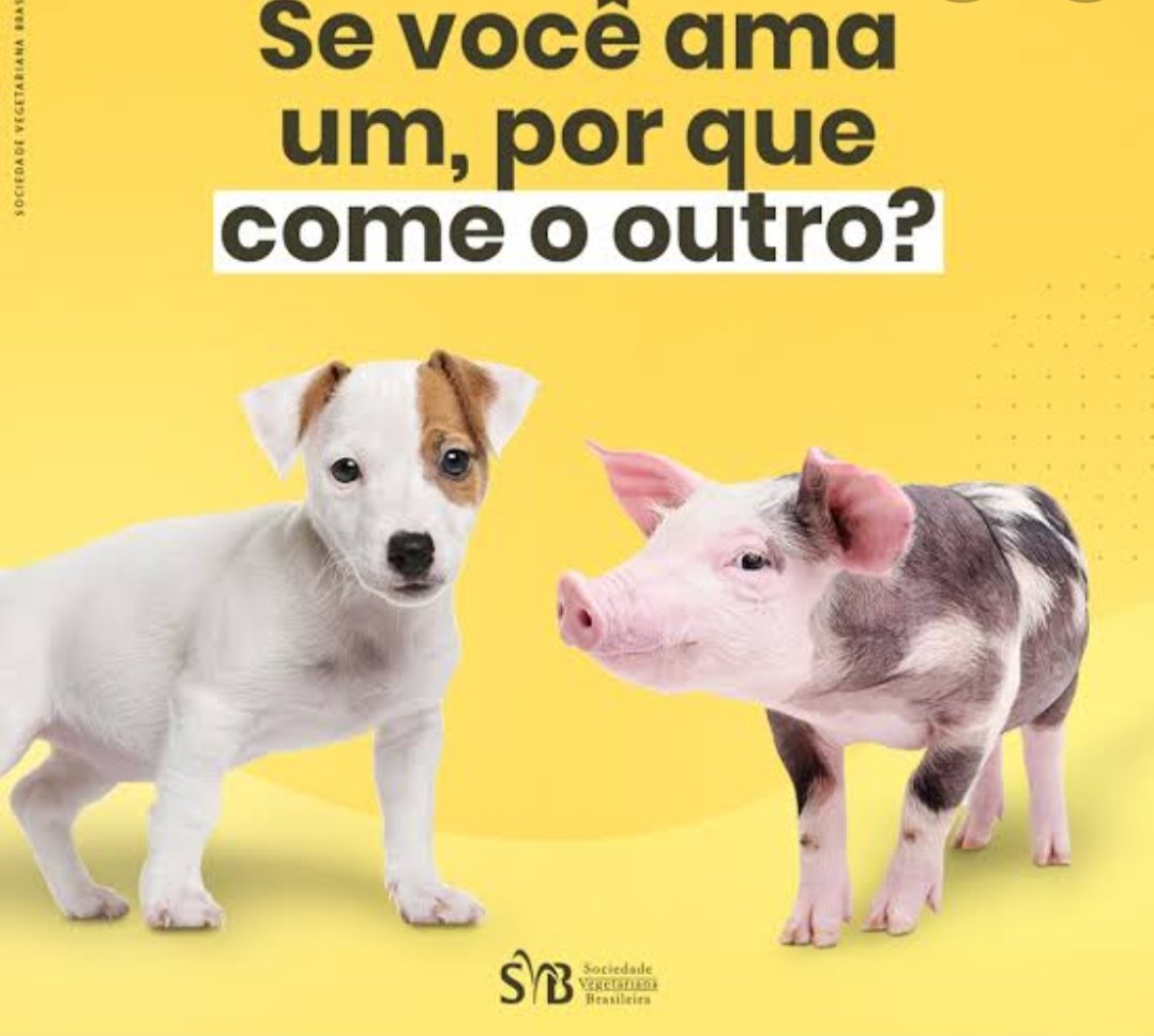 Gjblackcs's tweet photo. @Smigxl1 Se você ama um pq pega o outro? https://t.co/qQFTdnRc0G