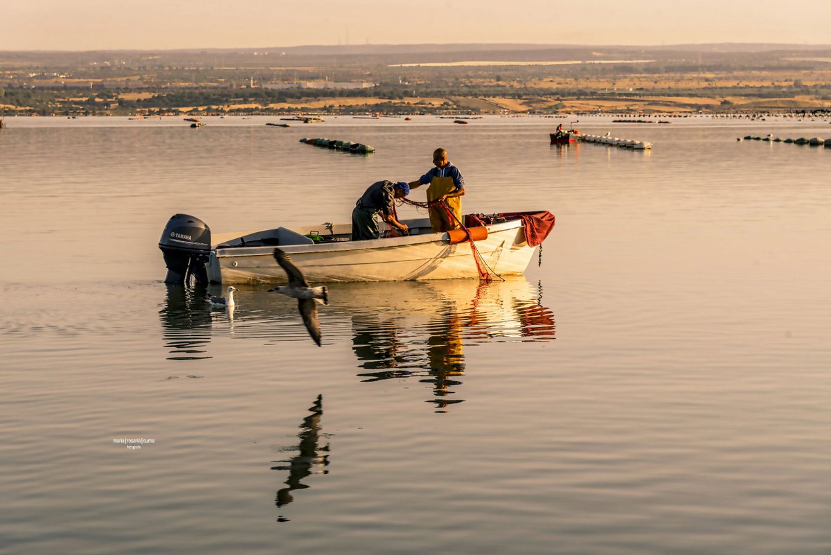 #taranto #marpiccolo #pescatori #pesca #photography #conoscetetaranto #photographer #weareinpuglia #puglia #weareintaranto