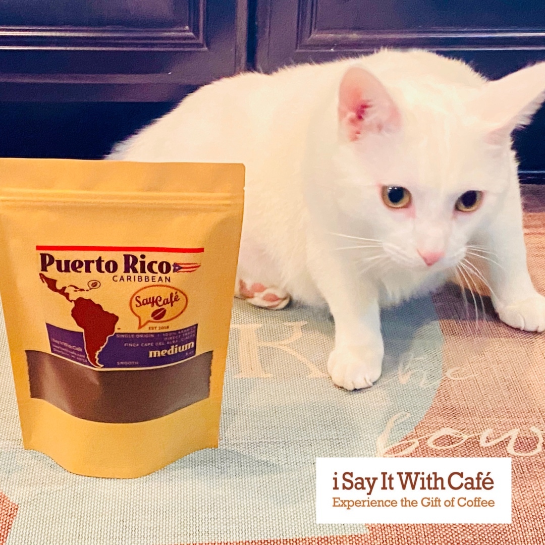 iSayItWithCafe's tweet photo. Happy #internationalcatday Meet Silky, our rescue #cat Have been with us since March last year. He is about 3 years old, LOVE attention, but doesn't like to be hold or cuddled. His favorite toy is a rattling fish and his favorite coffee is Puerto Rico. 
#catday #happycatday https://t.co/NNceATnUr0