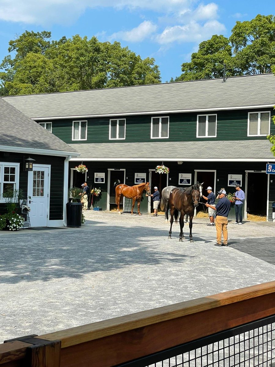 SwappFi's tweet photo. Why the long face?
@FasigTiptonCo #FasigSaratoga100
#SwappToken https://t.co/VPh2VmNMj1