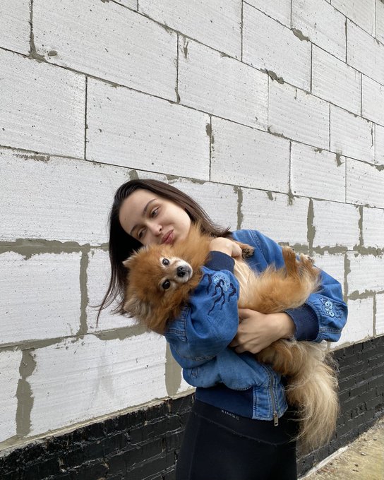 пес будет даже в твиттере. я не знаю что на меня нахлынуло, но я решила что он должен быть везде https://t