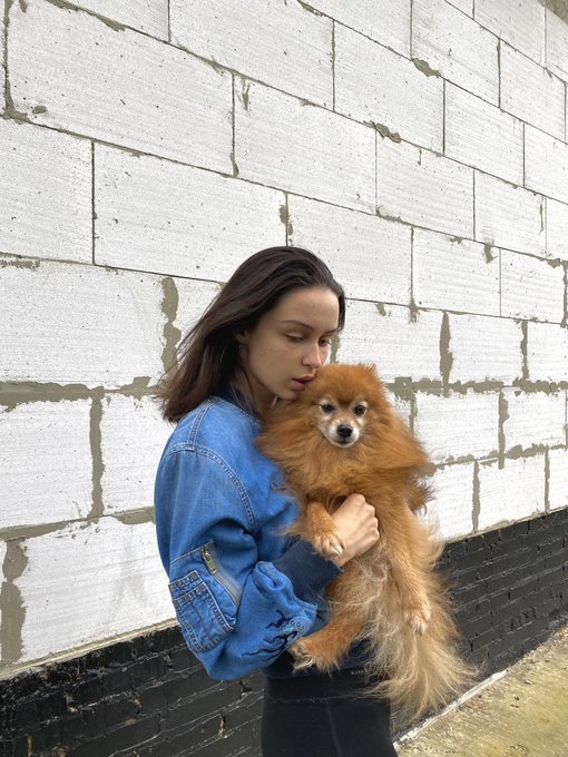 пес будет даже в твиттере. я не знаю что на меня нахлынуло, но я решила что он должен быть везде https://t