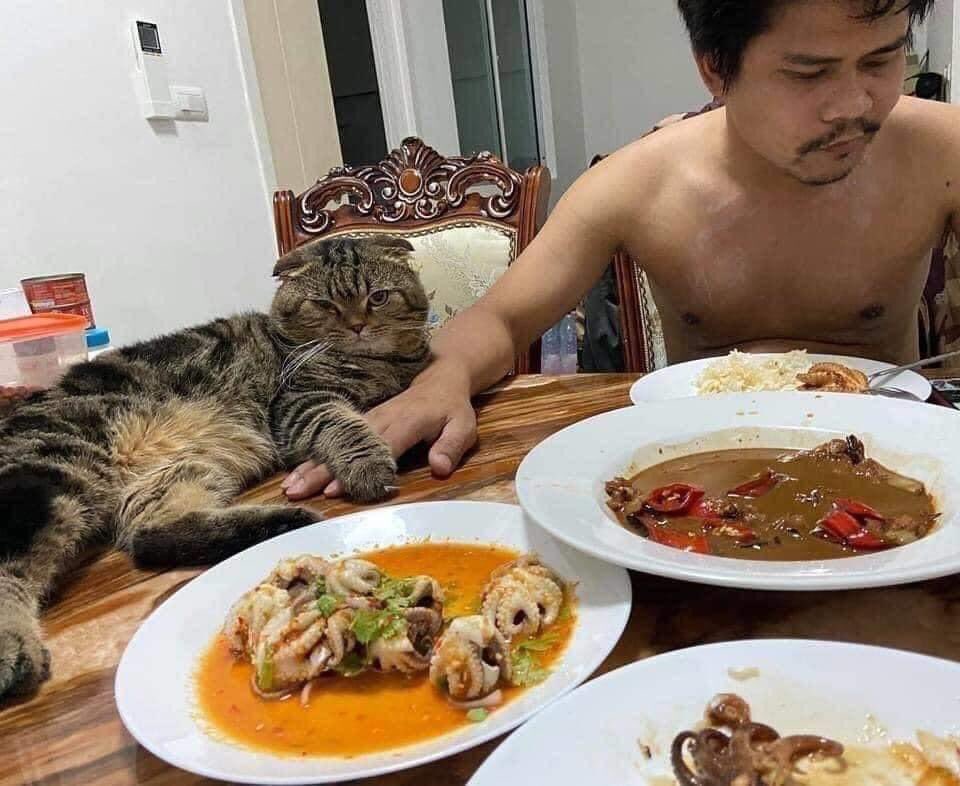 RajaCuti's tweet photo. Sedih bila difikirkan.. Penat2 bela kucing tu. Tau2 dah besar ada hati nak rampas suami aku macam ni... 😭
Sumber: @isskndarariffin
#RajaCuti #RCTrending #perampas #takguna https://t.co/7OSq3M9pvX