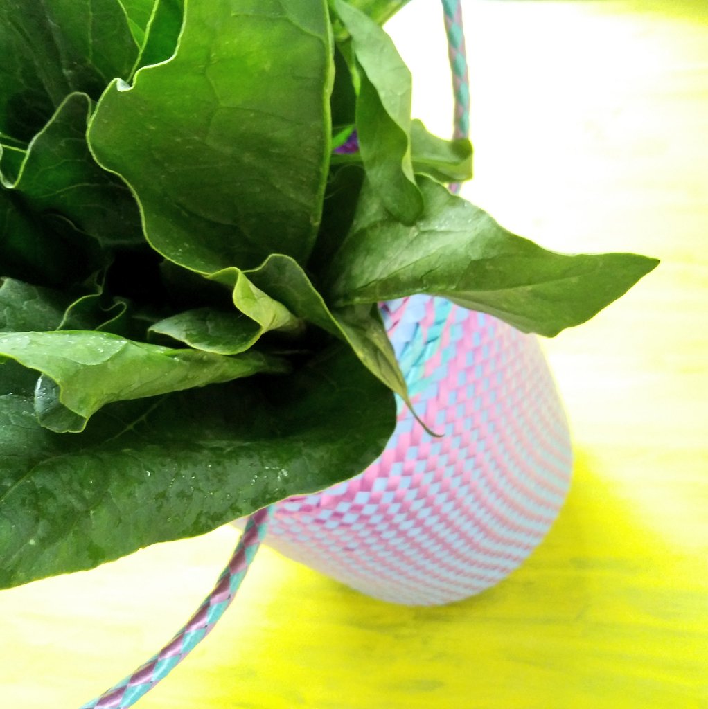 donajiU_U's tweet photo. 🌱🌱🌱🌼☔😍💦🌼🌱🌱🌱
#Colorful #tenate #handmade #HechoenMéxico #inspire #arttwit https://t.co/GPz8DHvpAc