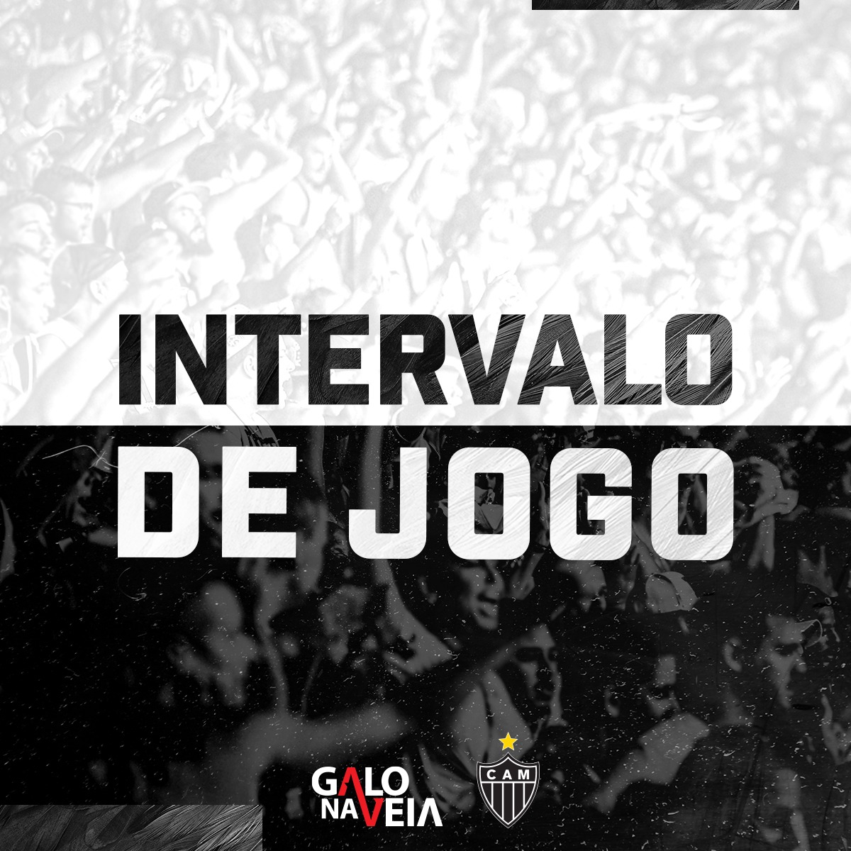Galo Na Veia tweet media