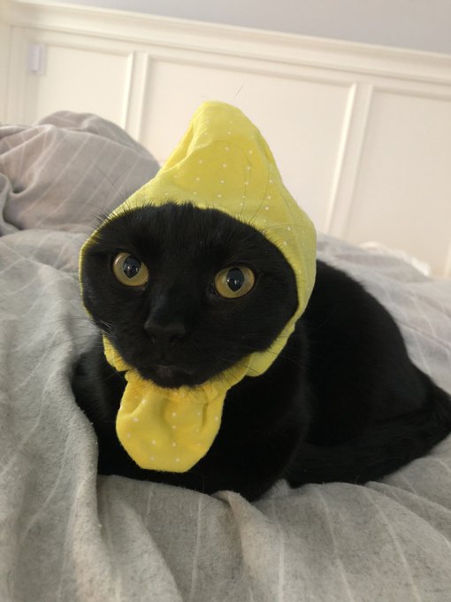 Watch Meg Turney's leaked NSFW photo on TwXstars