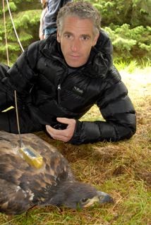 2008 - we sat tagged 1st ever Scottish juv sea eagle Mara. A chick of Skye&amp;Frisa of <a href="/BBCSpringwatch/">BBC Springwatch</a> fame <a href="/ForestryLS/">Forestry and Land Scotland</a> 5 yrs later he settled w/ mate &amp; was/is a regular for <a href="/LochShielCruise/">Loch Shiel Cruises</a> Tag fell off as planned &amp; retrieved. He's still there age 13!😁🦅😅 scotsman.com/news/environme…