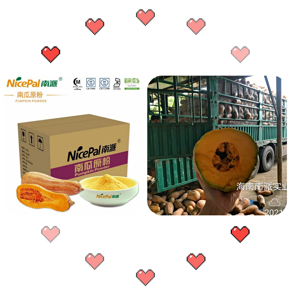 Amy27631147's tweet image. Nicepal pumpkin powder is selected from Hainan fresh pumpkin, made by the world's most advanced spray drying technology and processing. No perservatives, no essence and sythentic pigment #pumpkinpowder #pumpkin #vegetable #food #beverage #ingredients #baking #energybar