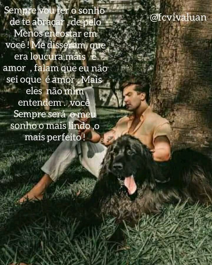 luan_viva's tweet photo. Eu nunca me declarei pra alguém como  eu me  declaro pra você... Eu nunca quis  tanto  um abraço como eu desejo o teu .@luansantana. Porque se depender  de mim  você terá  uma fã❤😍🙃@izabelly https://t.co/m5GSIH5lP7