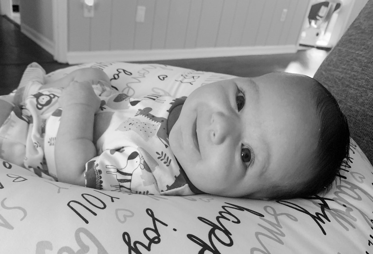 Andrea Barboza tweet media