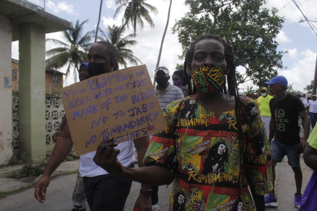 Free Free Breadfruit News Svg 746 SVG PNG EPS DXF File