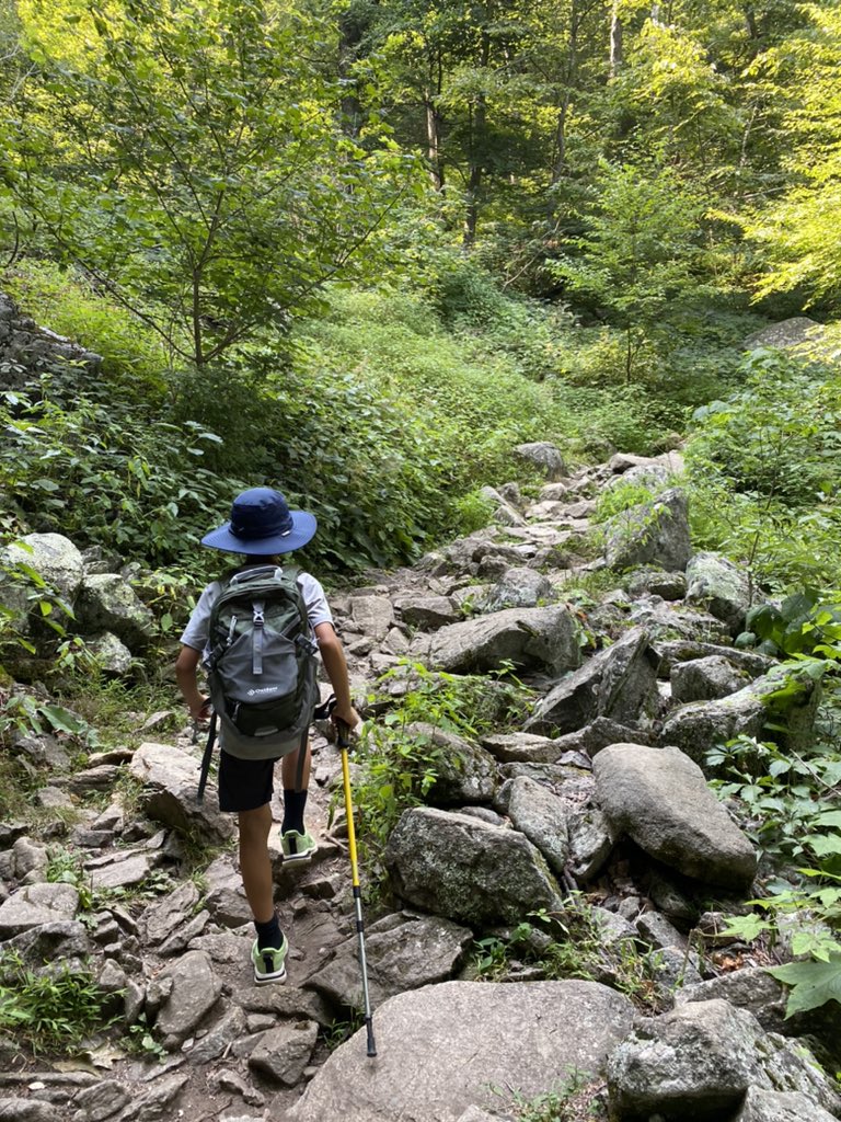 stevenlin83's tweet photo. Some more from atop #SharpTop Mountain in the #Virginia #BlueRidge. 

#FatherSonTime #Hiking https://t.co/BGVV3SVbTY