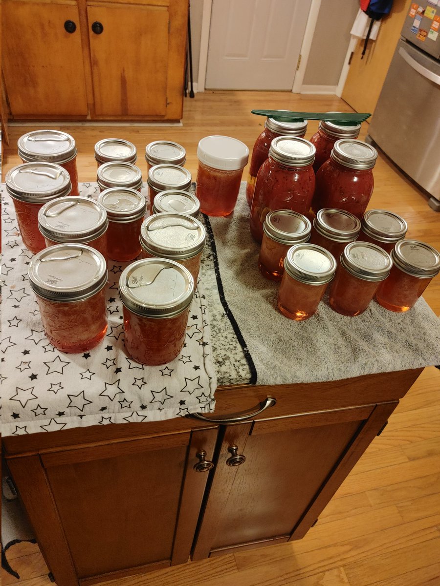 Starr Morgayne tweet media