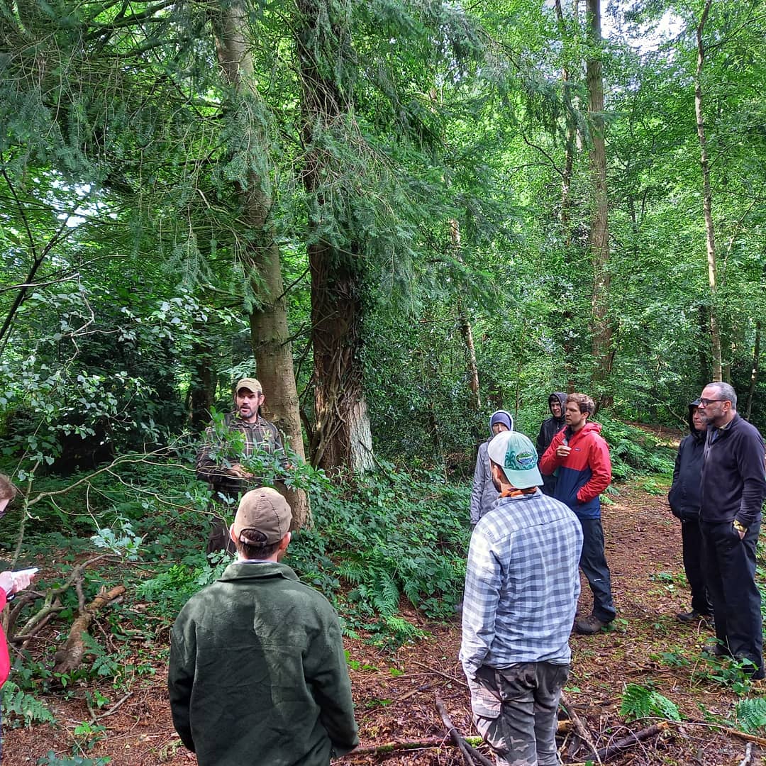 Andyfroy1's tweet photo. #foreging on the #Bushcraft #survival #wildernesslivingskills Course https://t.co/xYbBLU3ufI