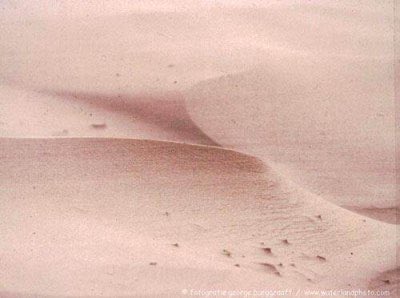 Ed Oomes tweet media