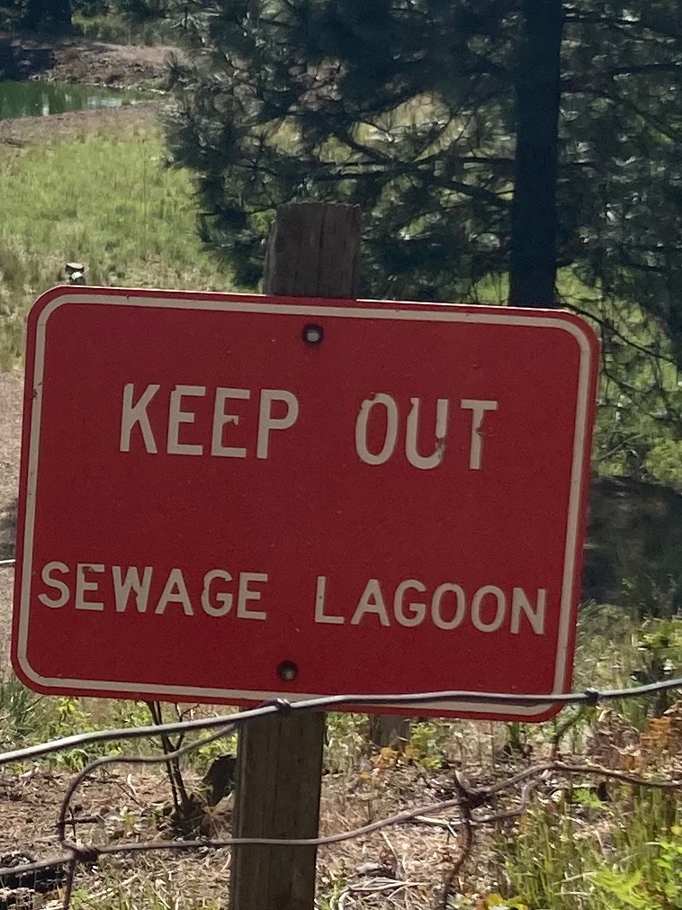 mshay_strick's tweet photo. Get out me ~sewage lagoon~
✨💫✨ https://t.co/3BOZp4LYcq