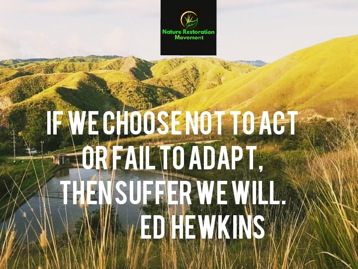 Nature Restoration Movement tweet media