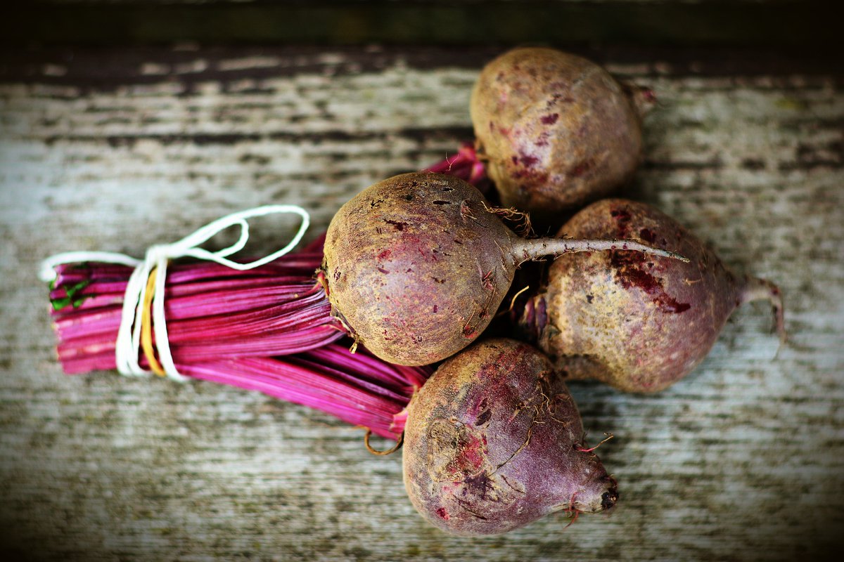 SJSUCares's tweet photo. You can't BEET our free fresh produce. 

Last week many students grabbed some of the fresh beets from @2ndharvest

#FreshProduce #RootPlant #BasicNeeds #FoodPuns #SpartanFoodPantry #SJSU #SJSUCares https://t.co/FJkK7zTyl2