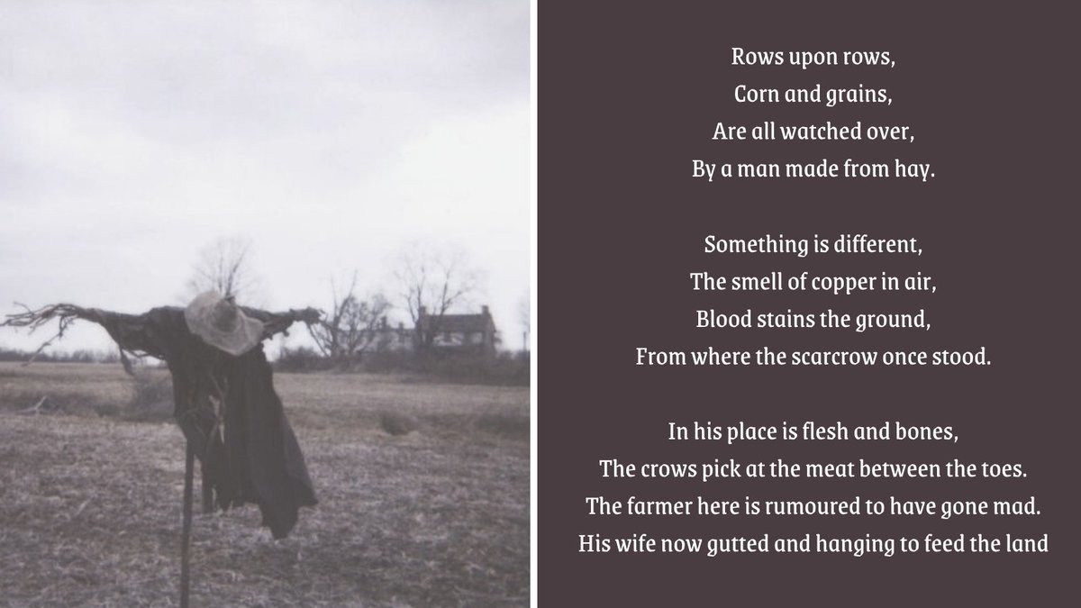 LostPlanetPluto's tweet photo. "The #scarcrows replacement"
#crowcalls #PoetryIsNotDead @QuillandCrow https://t.co/y3LCTVqz9x