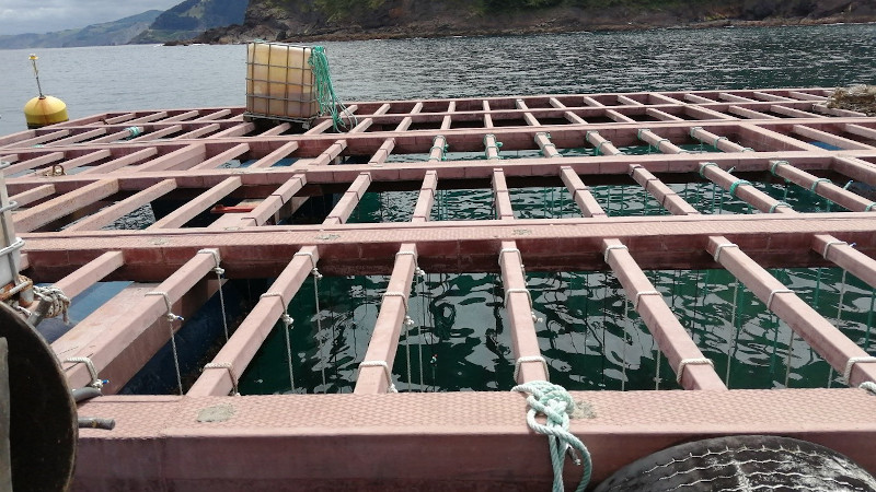 Biogears Final Prototype Developed And Sea Trials Commence
eurasiareview.com/09082021-bioge…
In June 2021, the EMFF-funded BIOGEARS project reached a key milestone; the final prototype biobased ropes ‘biogears’ were finalised. The biogears ropes seek to provide an alternative to the pe...