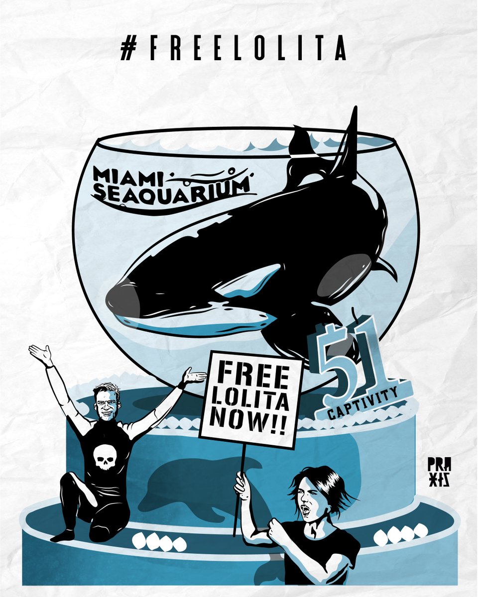 peta's tweet photo. Every single day since Lolita was abducted on August 8, 1970 has been a nightmare.
 
She’s been tormented &amp; held prisoner for 51 years—just because she’s an orca &amp; humans exploit her for cash.
 
Speak up. Take action. #FreeLolita. https://t.co/ymqMxzTE1j
 
🎨 @ praxis_vgz on IG https://t.co/U1MiuWEuV2